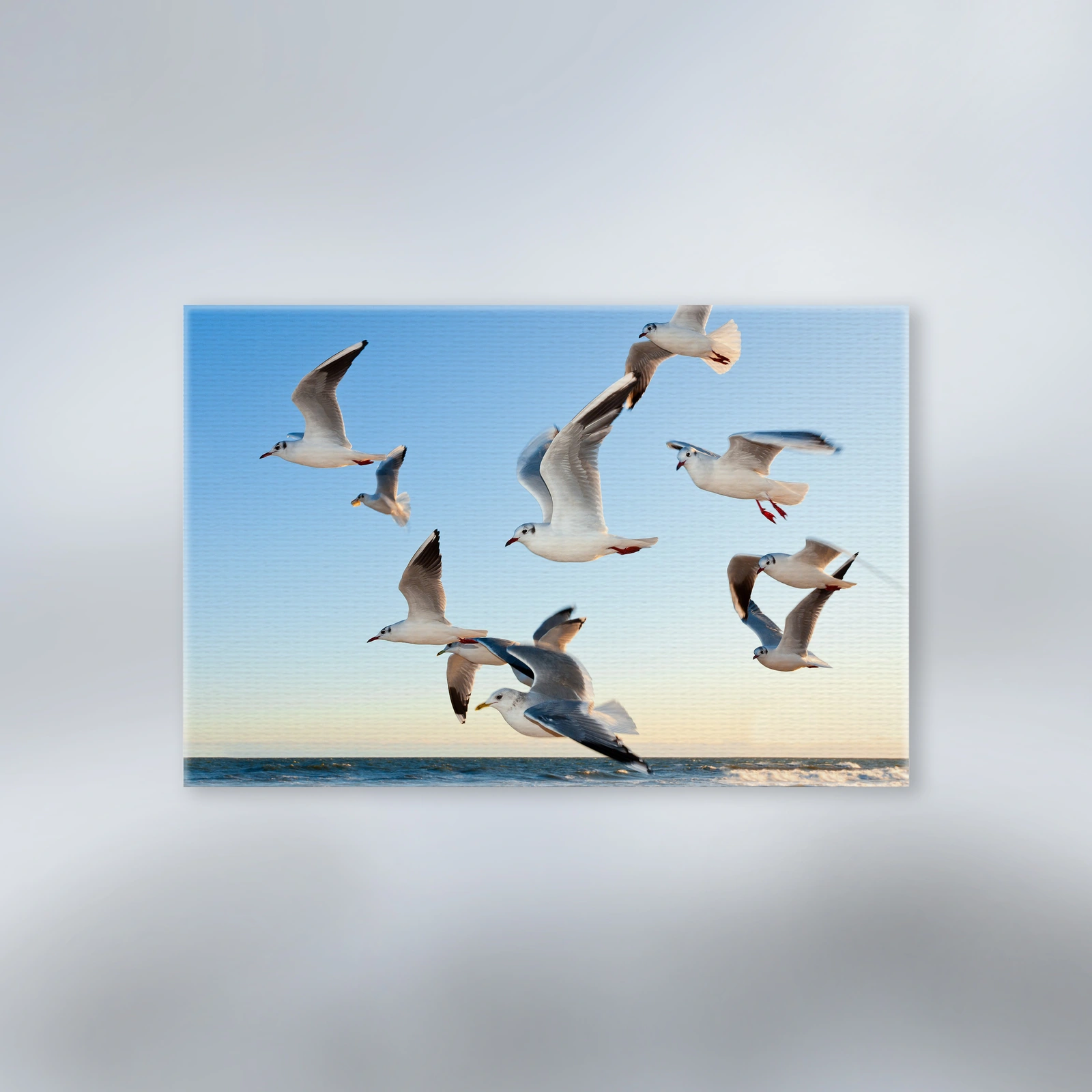 Canvas prints